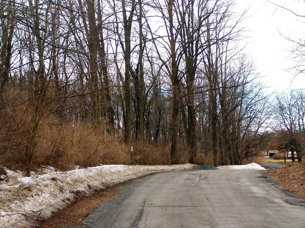 Photo: Old Karner Road