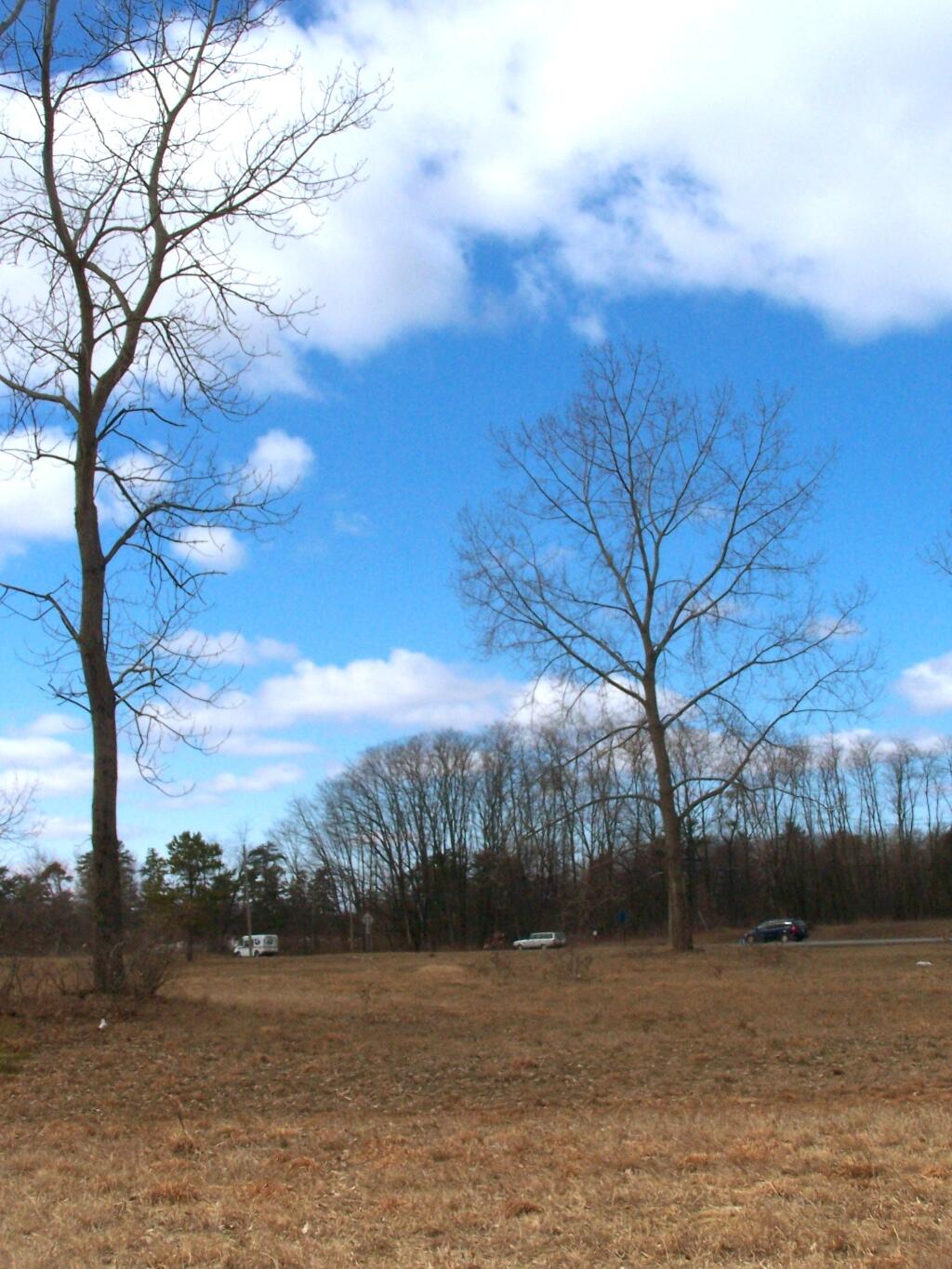 Photo: Traffic Along New Karner Road