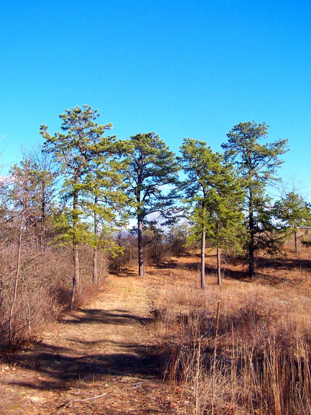 Photo: Hiking Up Blueberry Hill