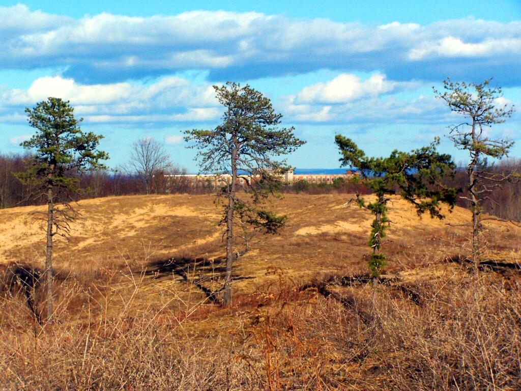 Photo: On Blueberry Hill