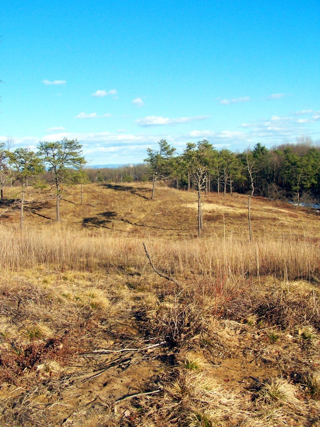 Photo: Due East Off Blueberry Hill