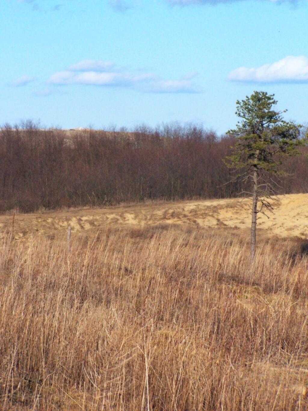Photo: Towards the Future Super-Sand Dune