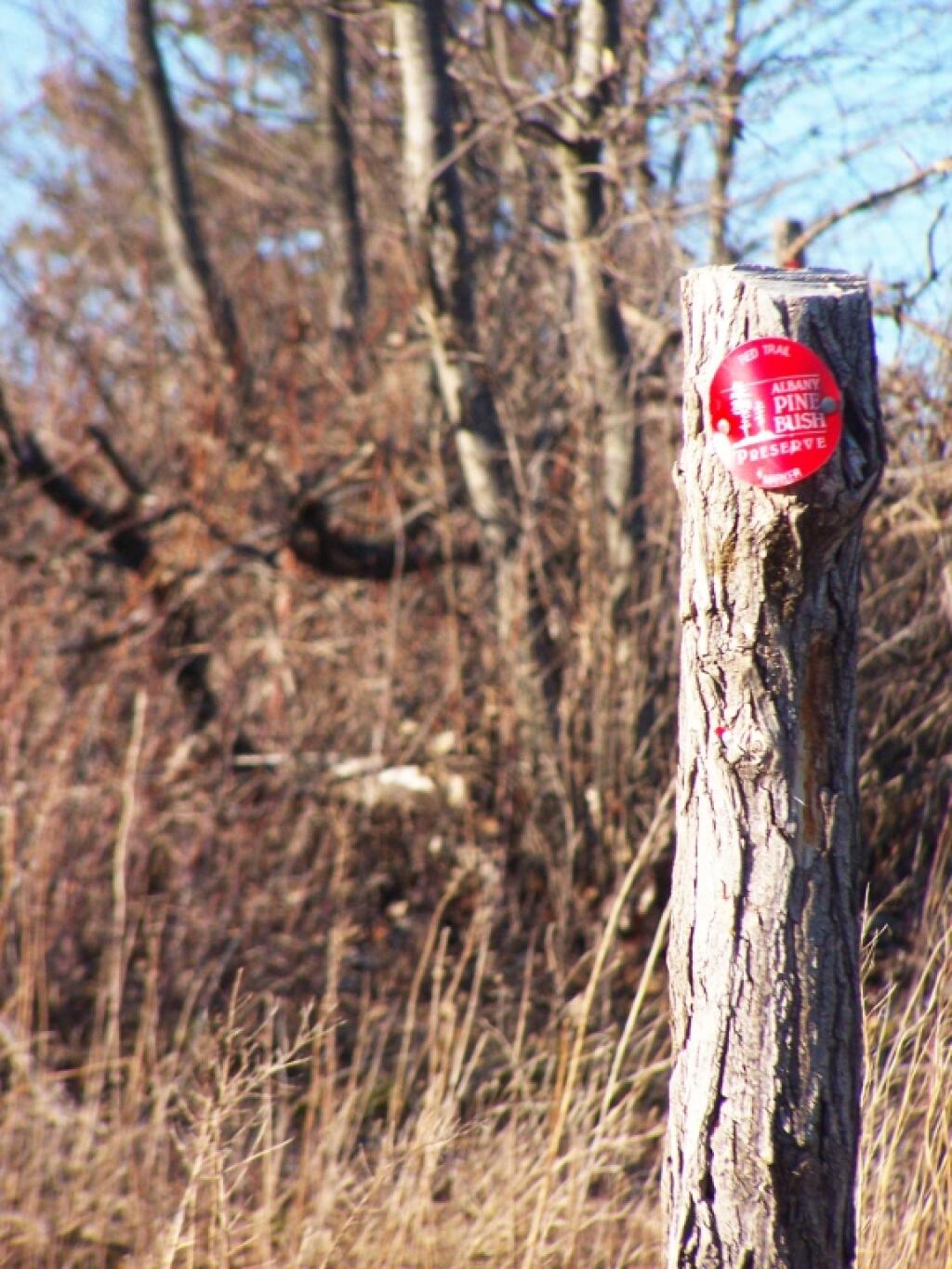 Photo: Red Trail Marker