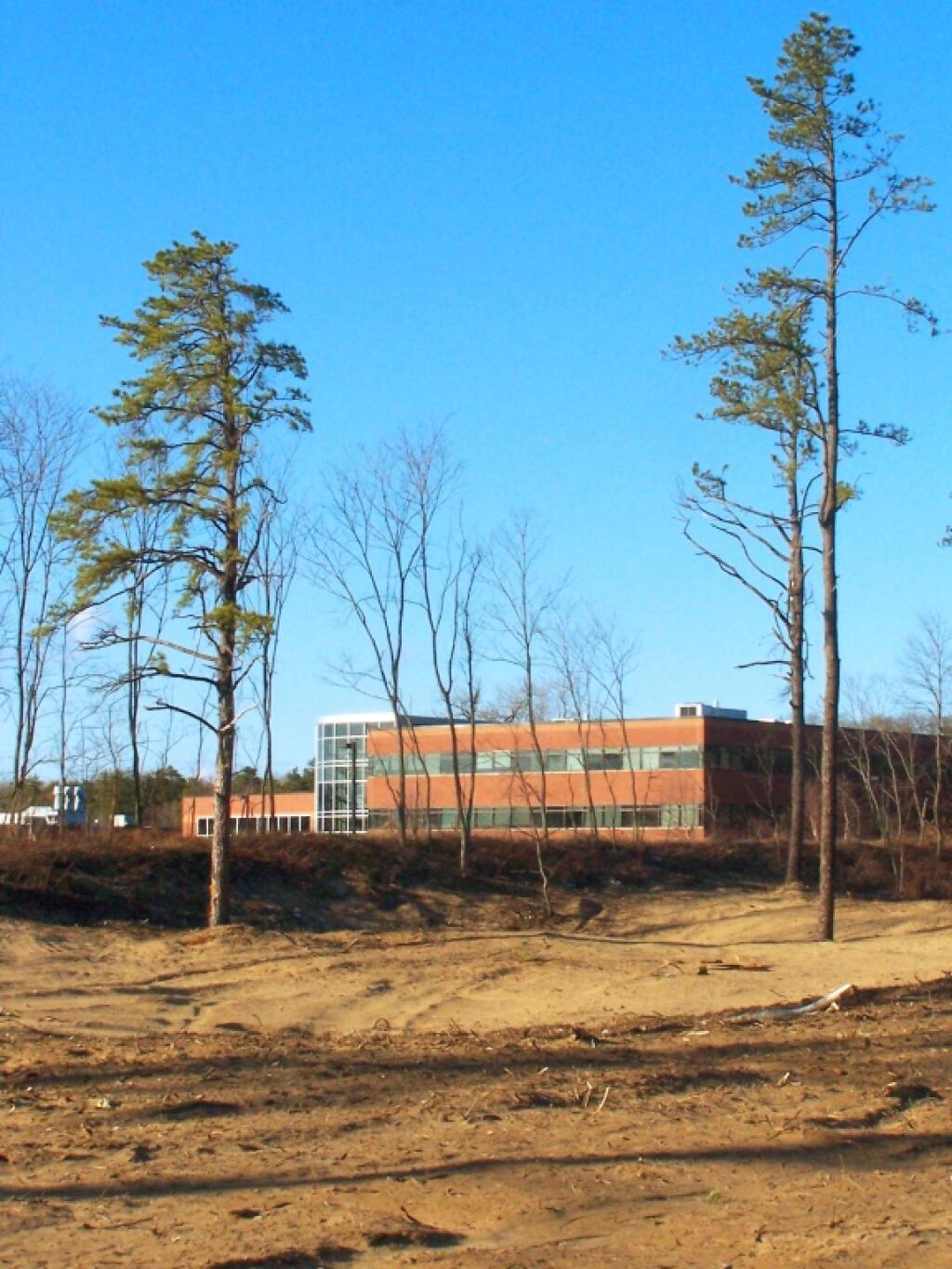 Photo: UFO Spaceship in the Pine Bush