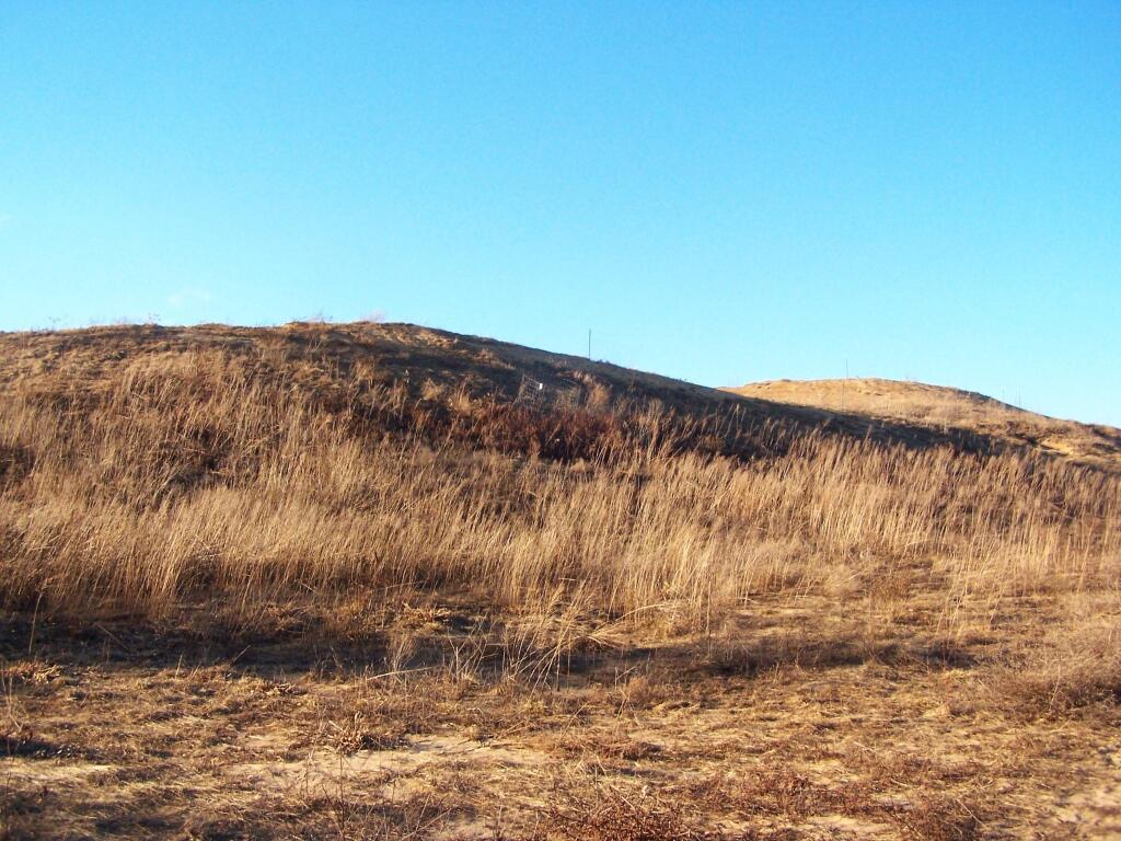 Photo: Sand Dunes Photo: Sand Dunes