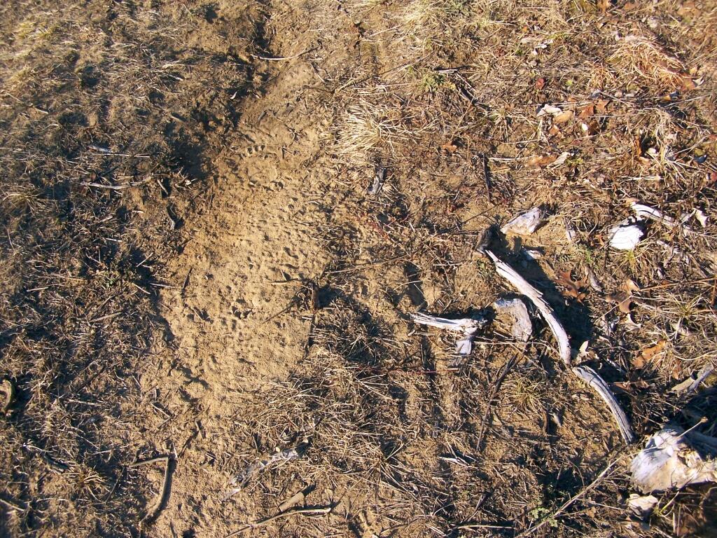 Photo: Muddy Soils