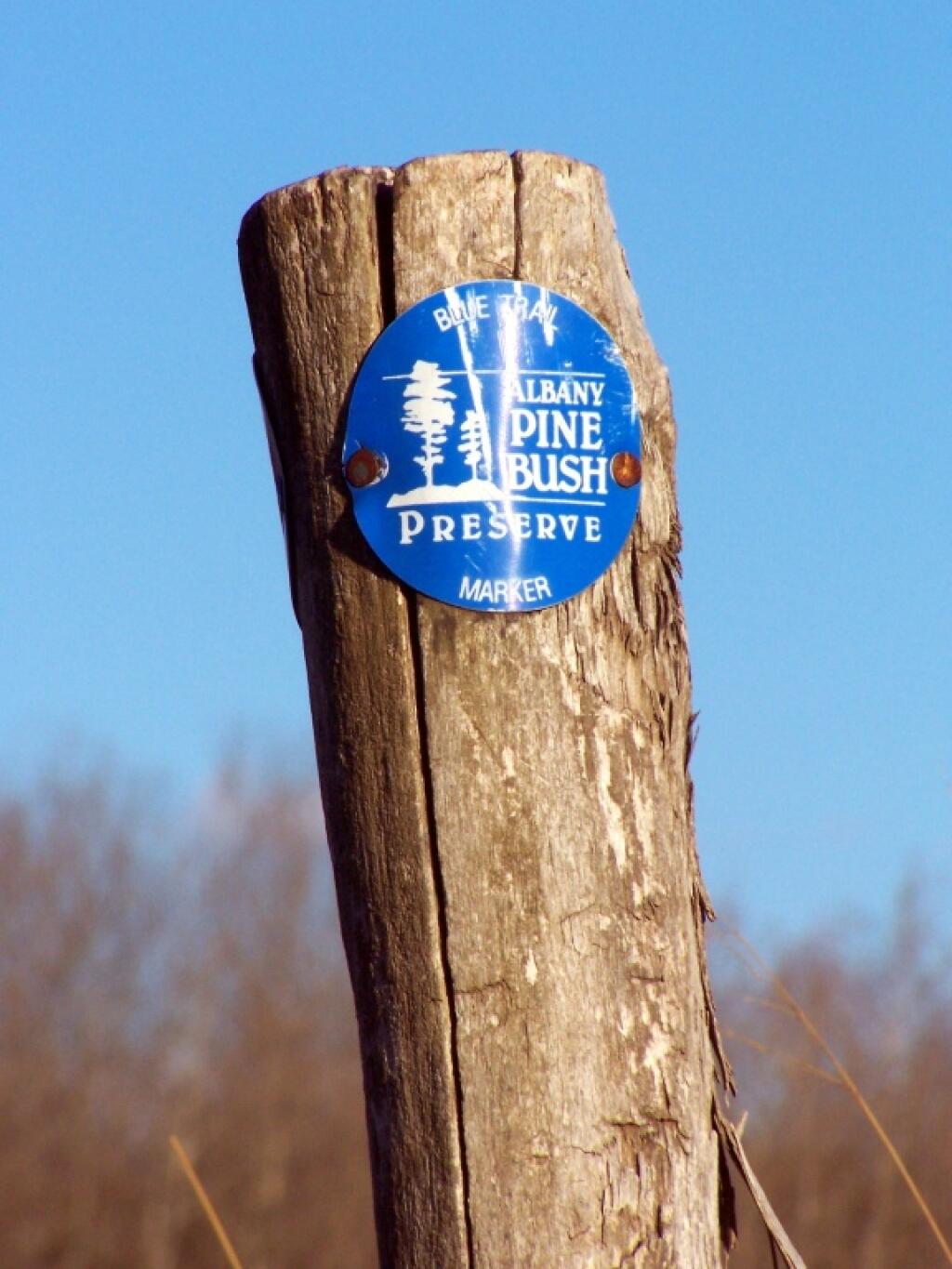 Photo: Blue Trail Marker Photo: Blue Trail Marker
