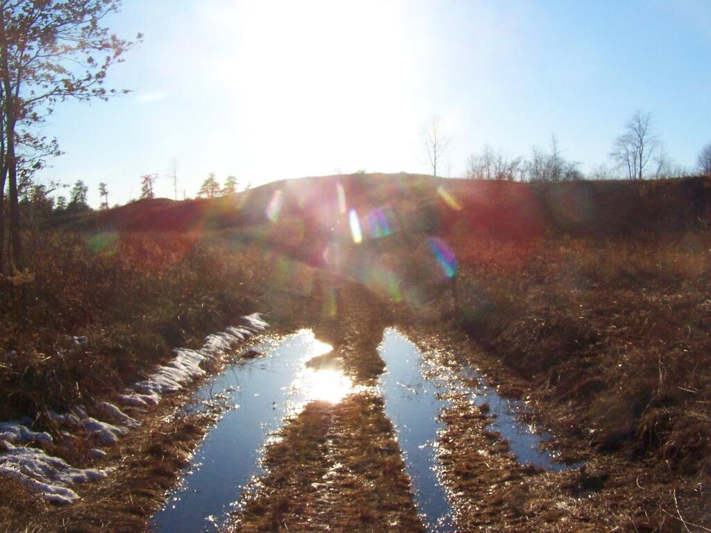 Photo: Sparkling Sun Photo: Sparkling Sun