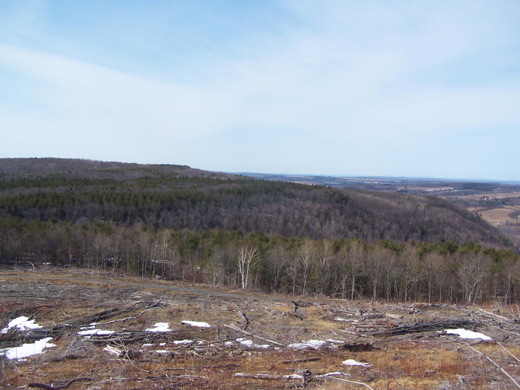 Photo: Irish Hill Photo: Irish Hill