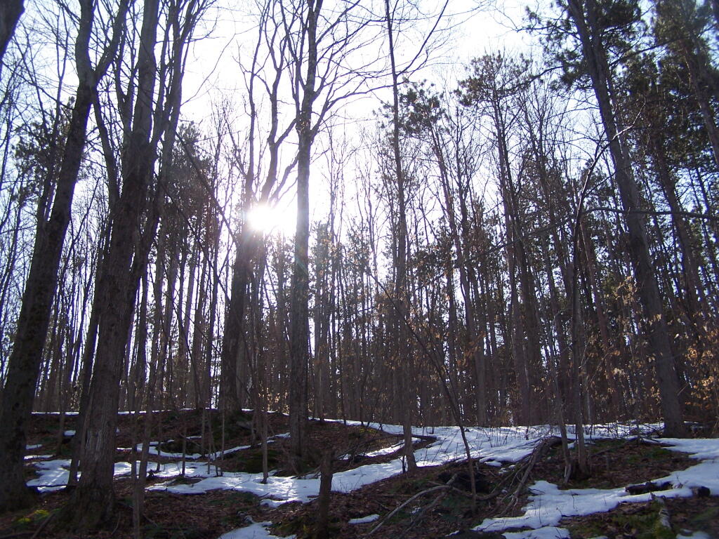 Photo: Looking Up Cole Hill Photo: Looking Up Cole Hill