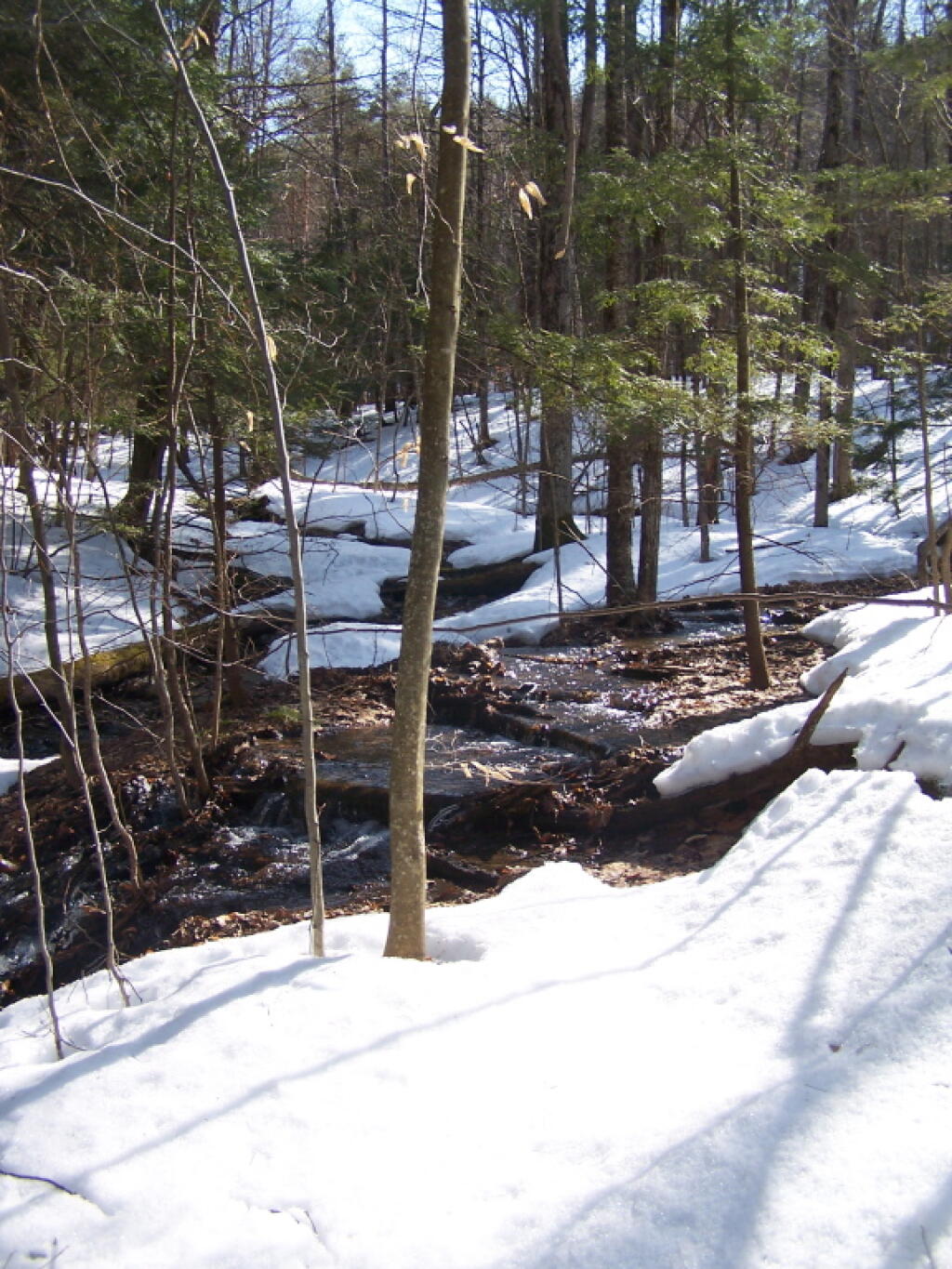 Photo: Unnamed Brook Gleems in Sun