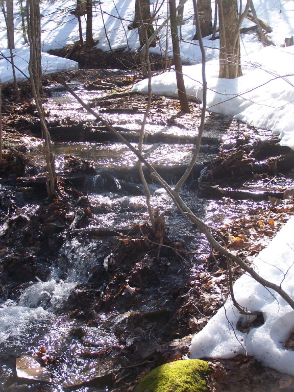 Photo: Creek Sparkles in Sunlight Photo: Creek Sparkles in Sunlight