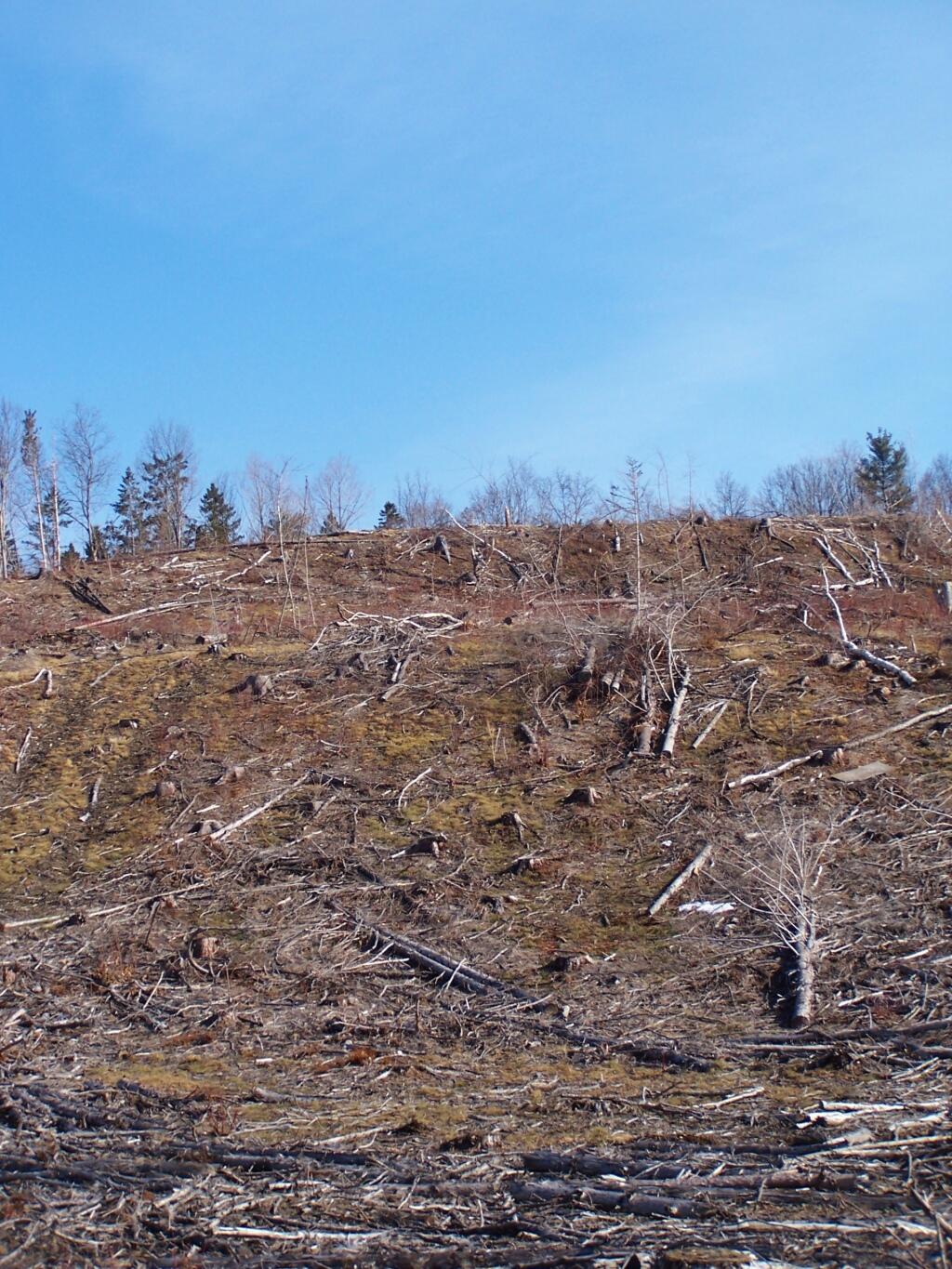 Photo: Looking Up the Steep Side of Cole Hill