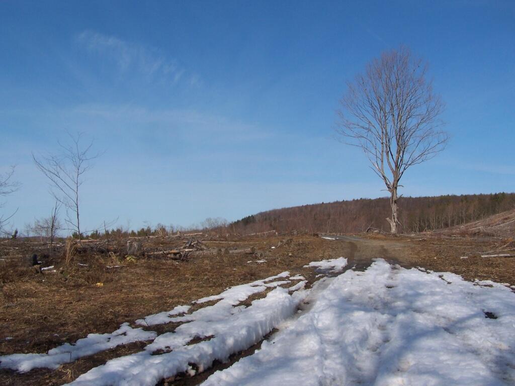 Photo: Across Cole Hill Towards Filkins Hill Photo: Across Cole Hill Towards Filkins Hill