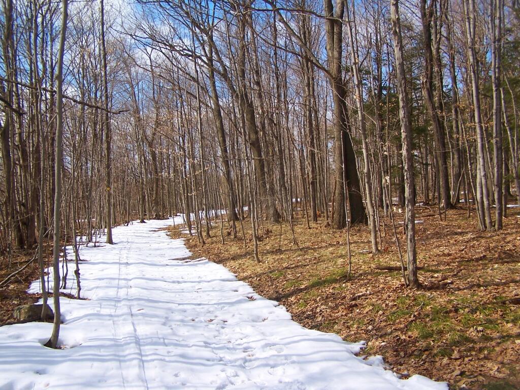 Photo: Old Woods Road