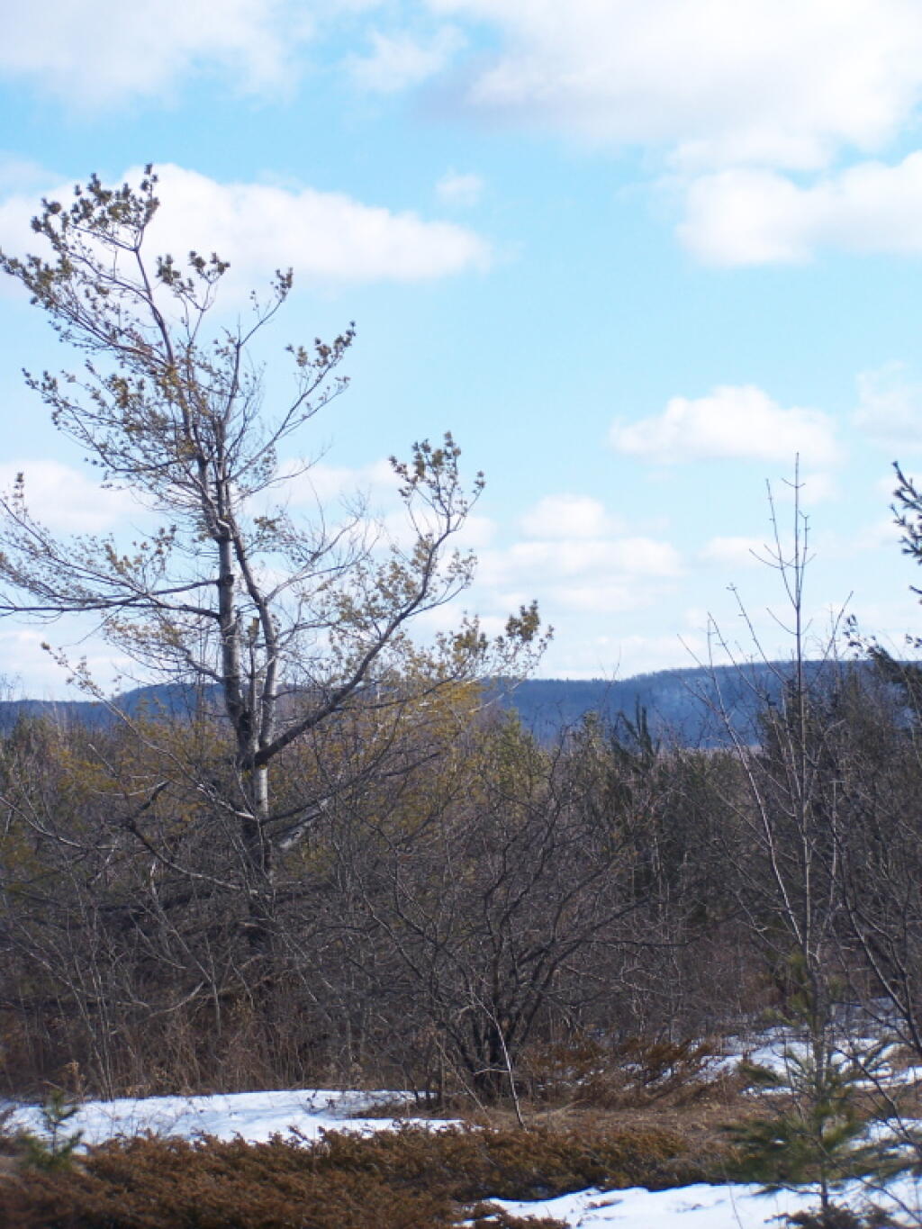 Photo: Across the Salisbury Farm Parcel