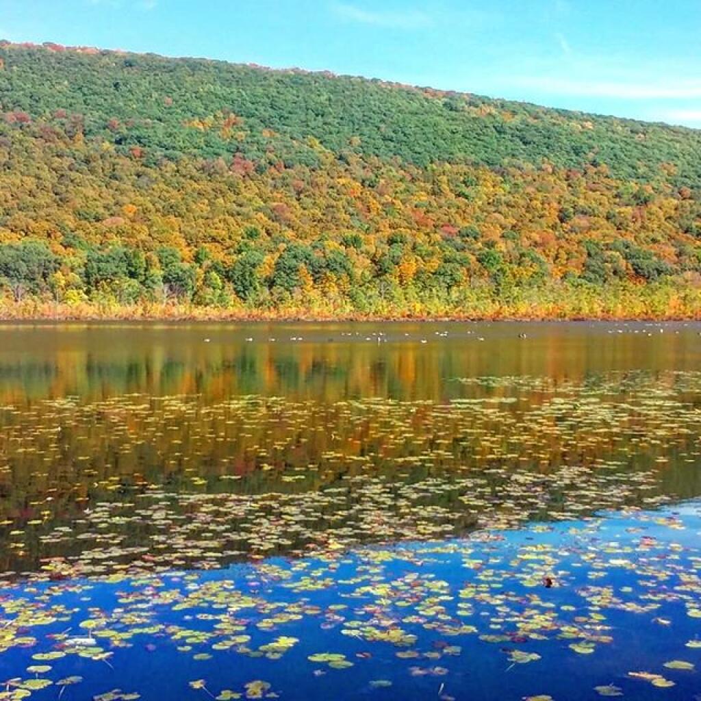 Photo: Jones Hill Photo: Jones Hill
