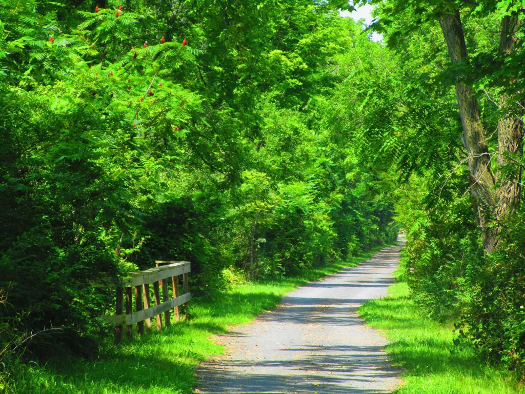 Photo: Nice trail