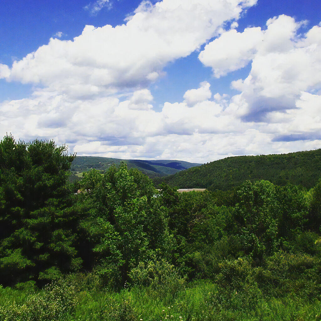 Photo: Summer afternoon