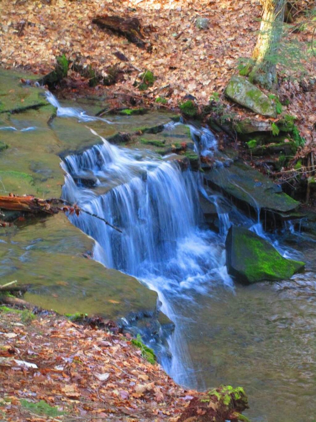 Photo: Little Waterfall Along the Cole Brook Photo: Little Waterfall Along the Cole Brook