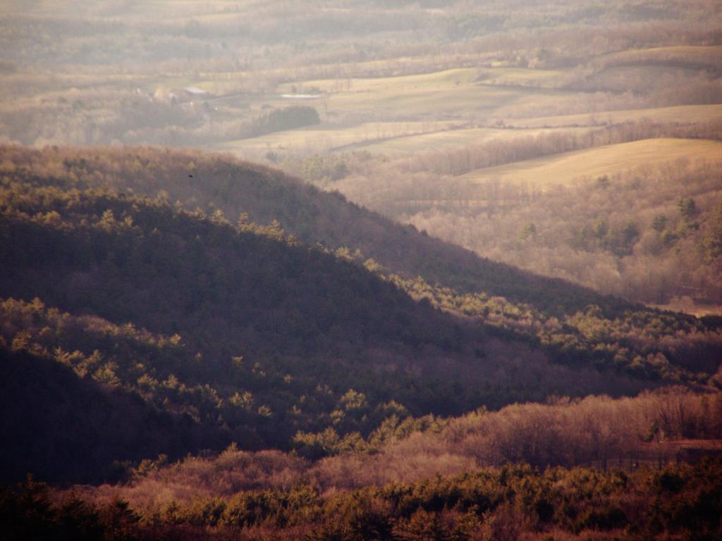 Photo: Farmlands Photo: Farmlands