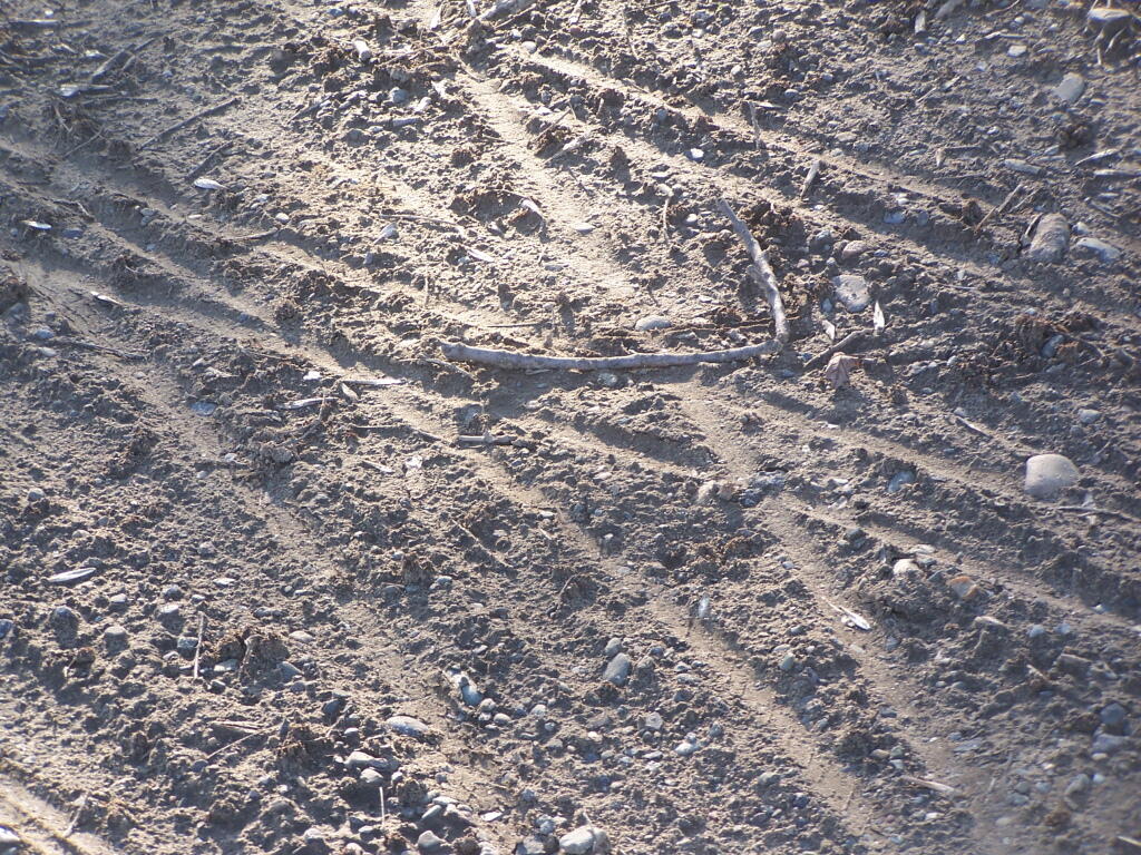 Photo: Bike Tracks Photo: Bike Tracks