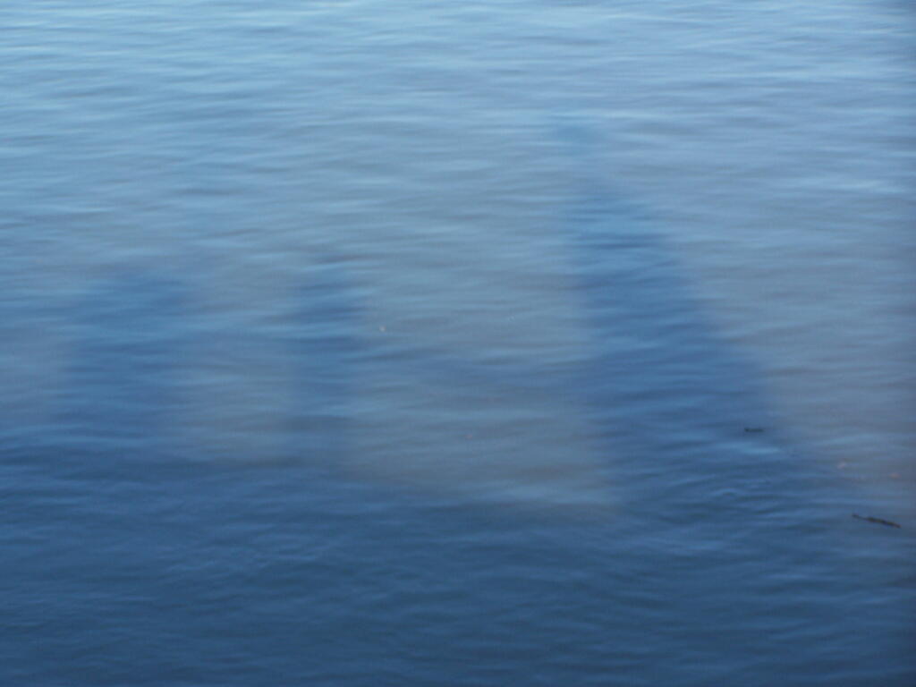 Photo: Reflections Photo: Reflections
