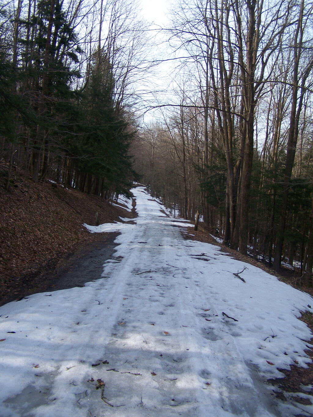 Photo: Hiking Up an Ice Covered Murphy Road