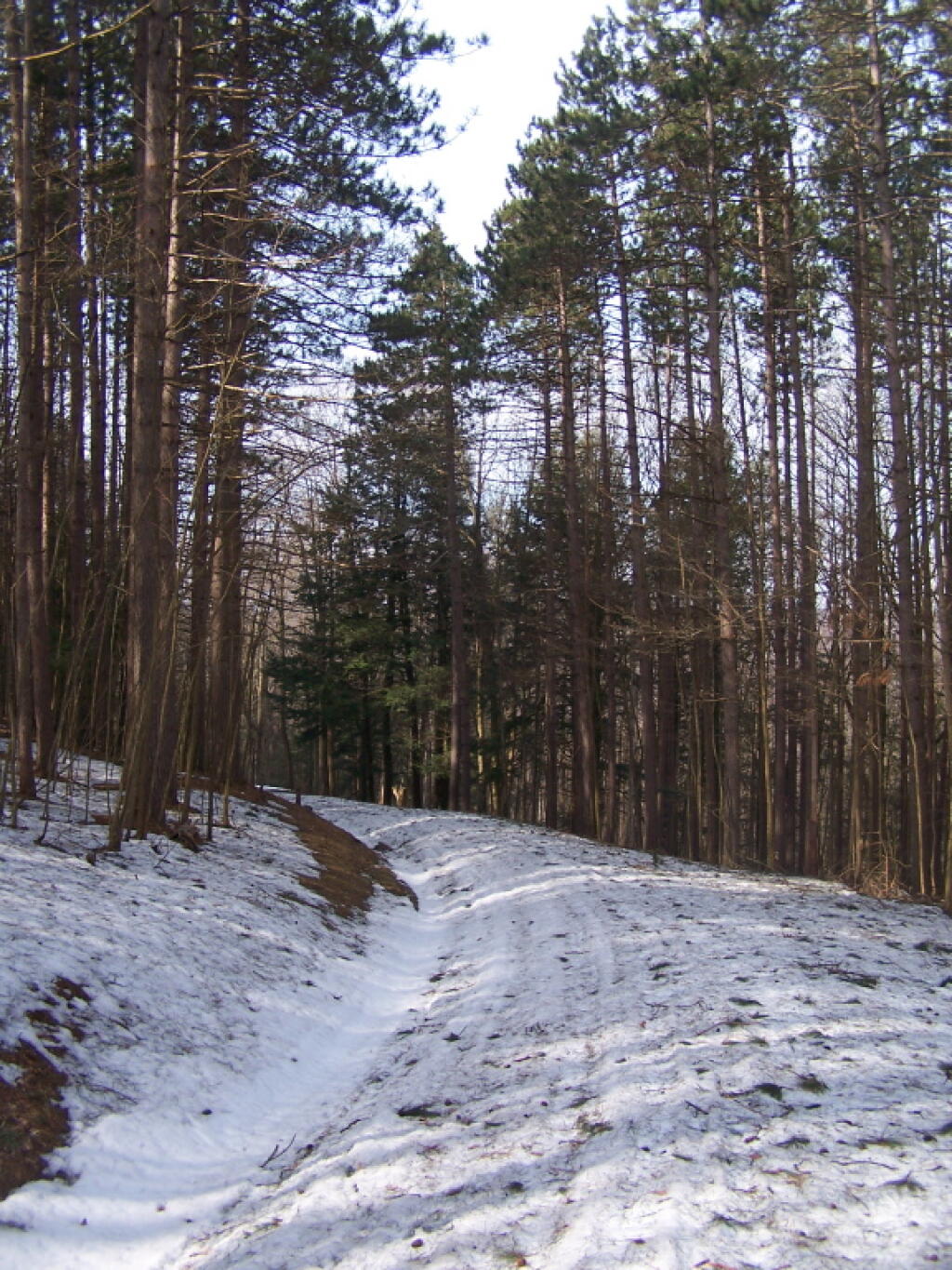 Photo: Reaching Top of Hill Photo: Reaching Top of Hill