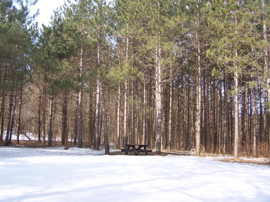 Photo: Camping Area