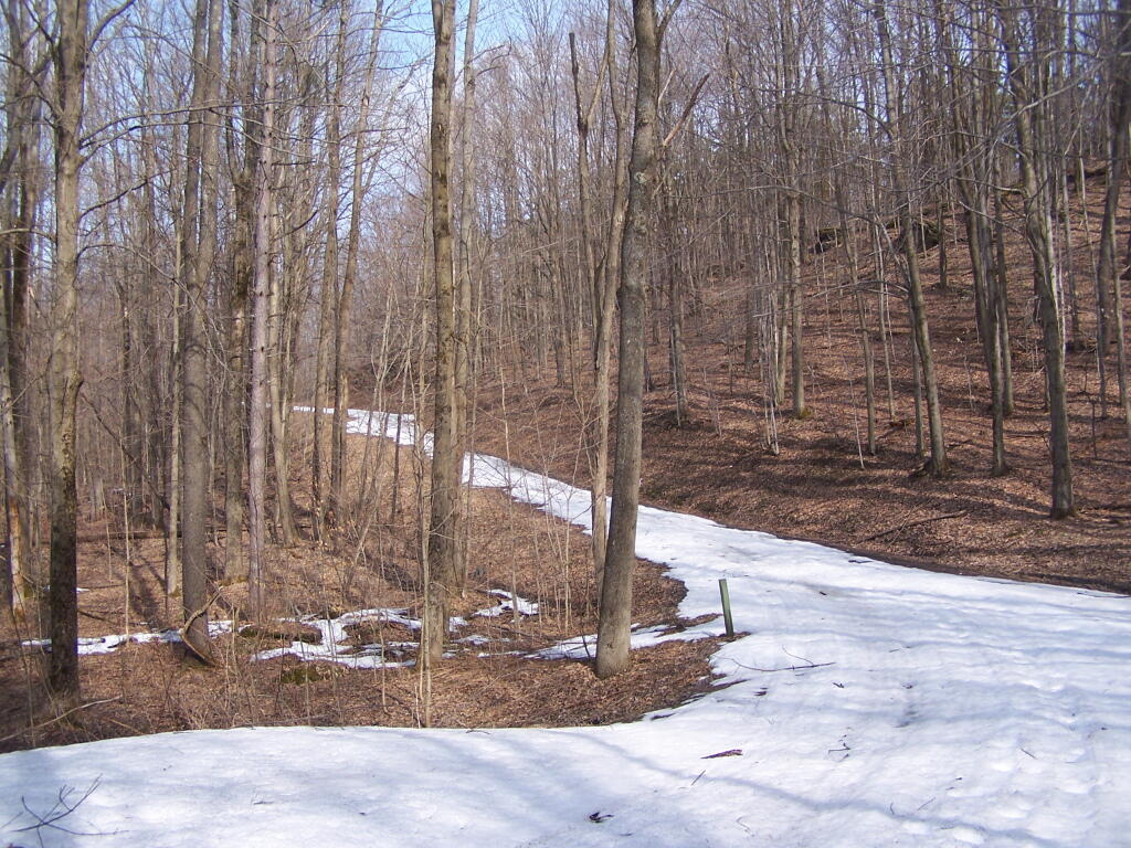 Photo: Snow Covered Trail