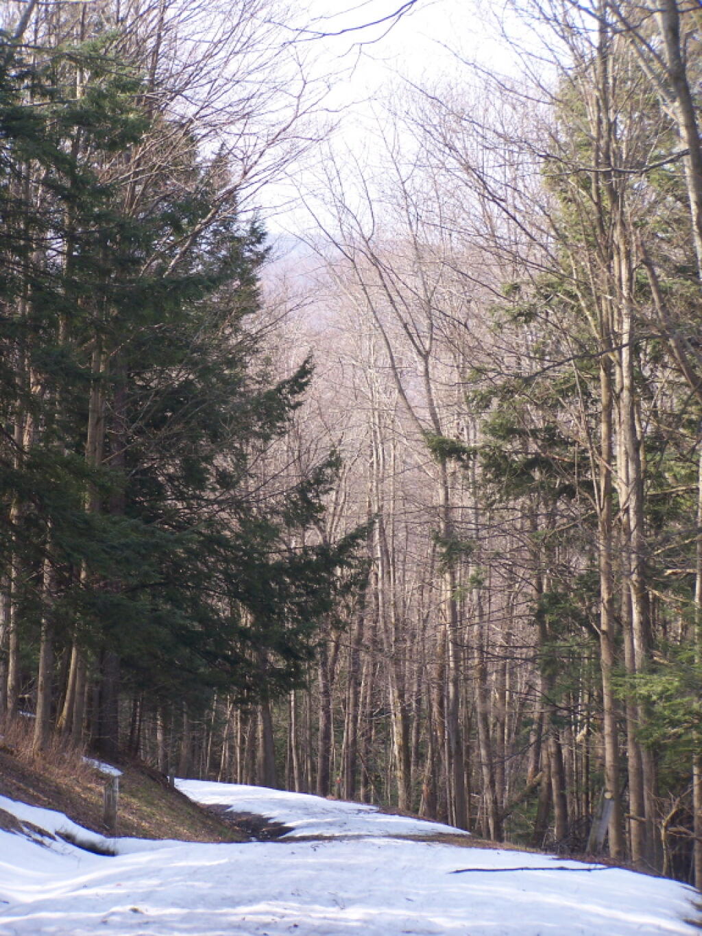 Photo: Descending the Hill Photo: Descending the Hill