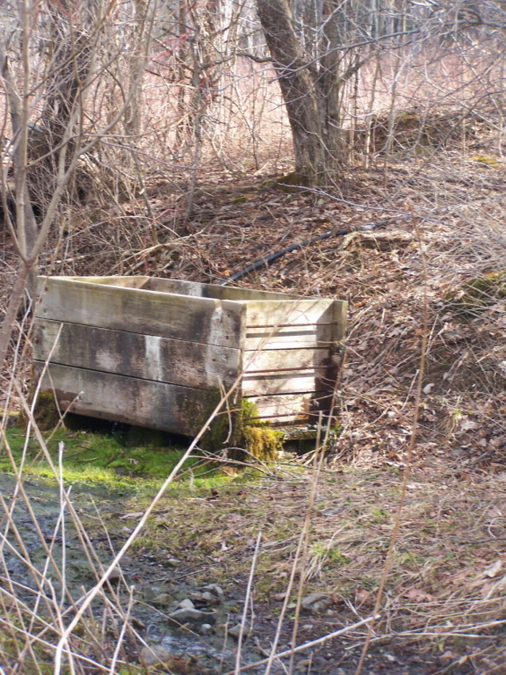 Photo: Horse Watering Trough