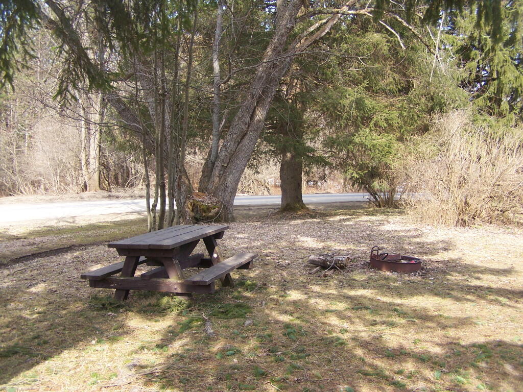 Photo: Picnic/Camping/Parking Area