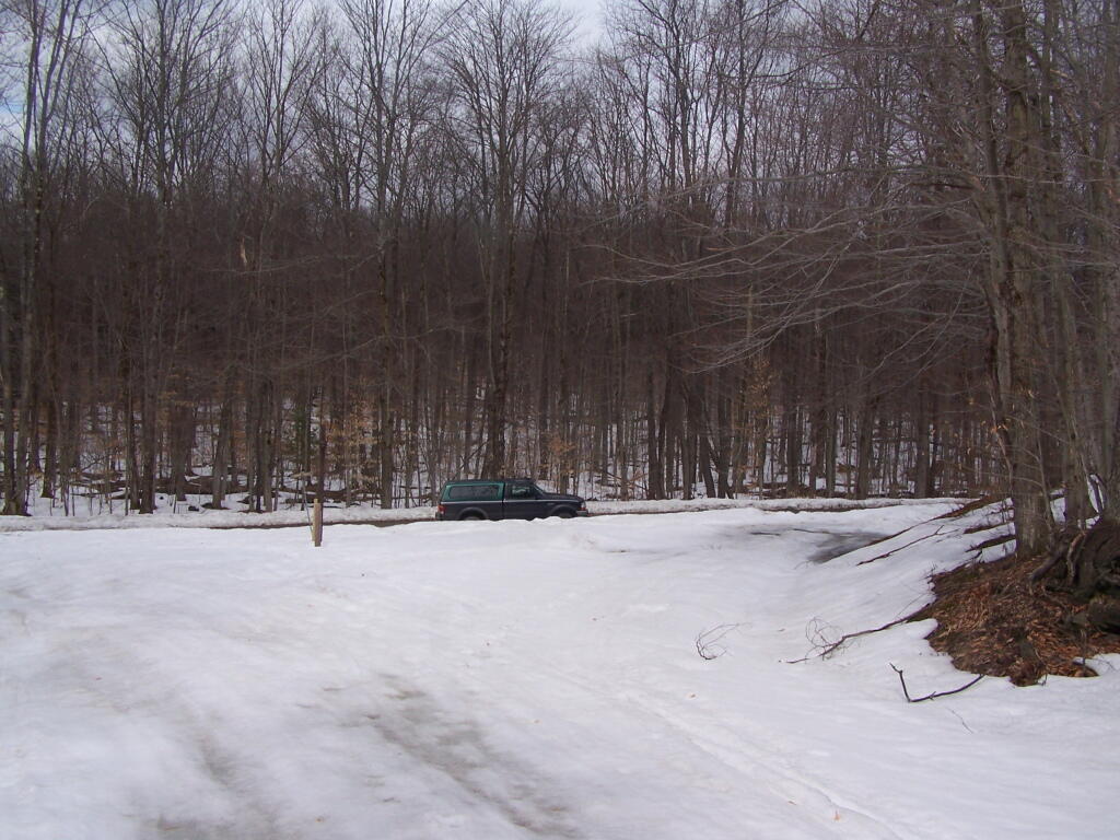 Photo: End of Truck Trail 8 Photo: End of Truck Trail 8