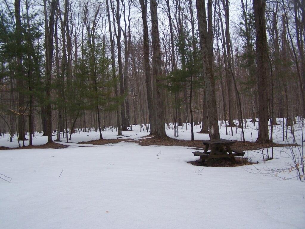 Photo: Campsite 3 Photo: Campsite 3