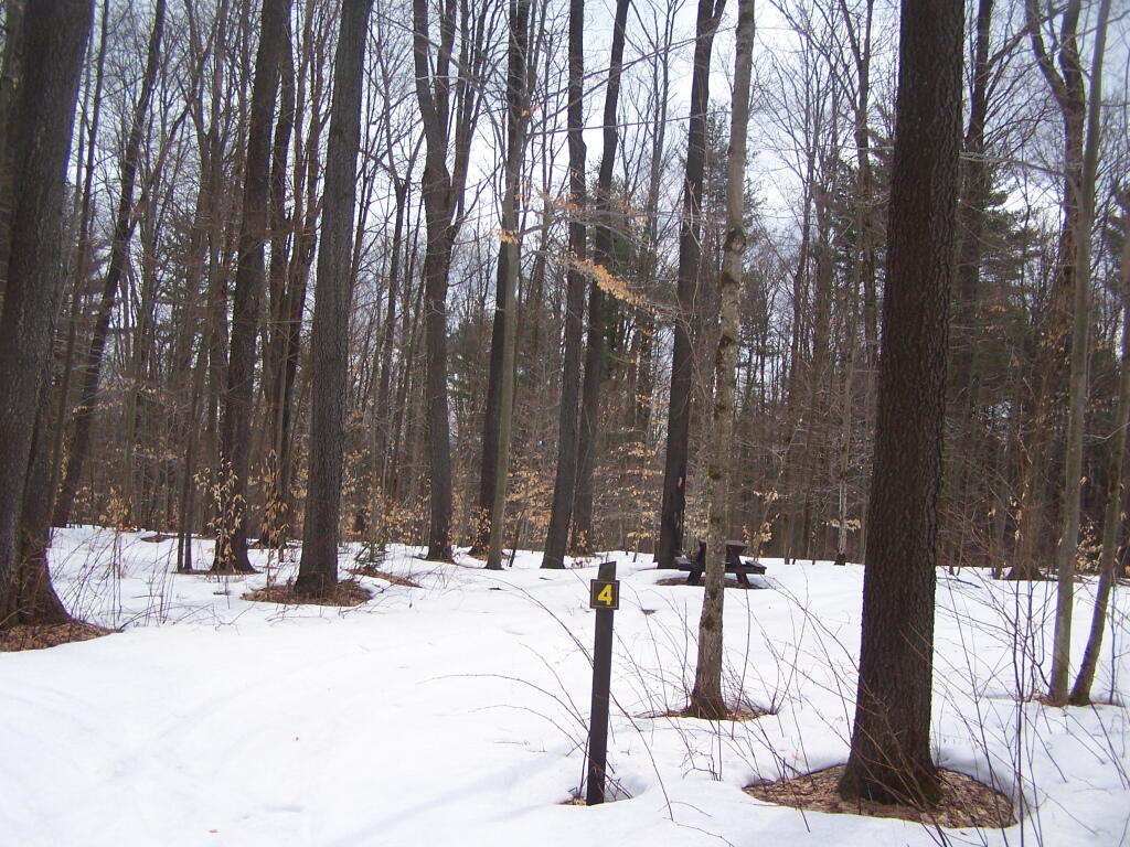 Photo: Campsite 4
