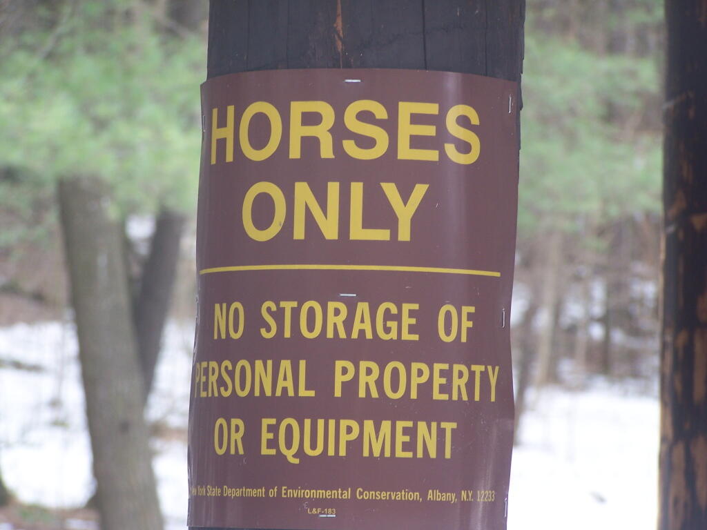 Photo: Horses Only Photo: Horses Only