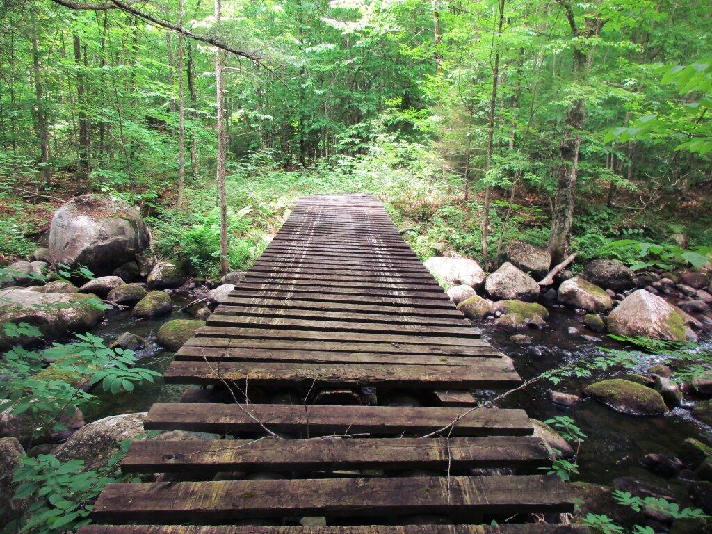 Photo: Bridge Over Wilcox Outlet Photo: Bridge Over Wilcox Outlet