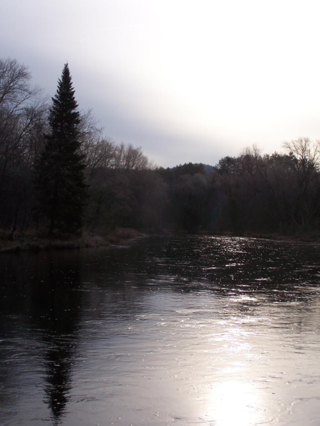 Photo: Looking Up the River Photo: Looking Up the River