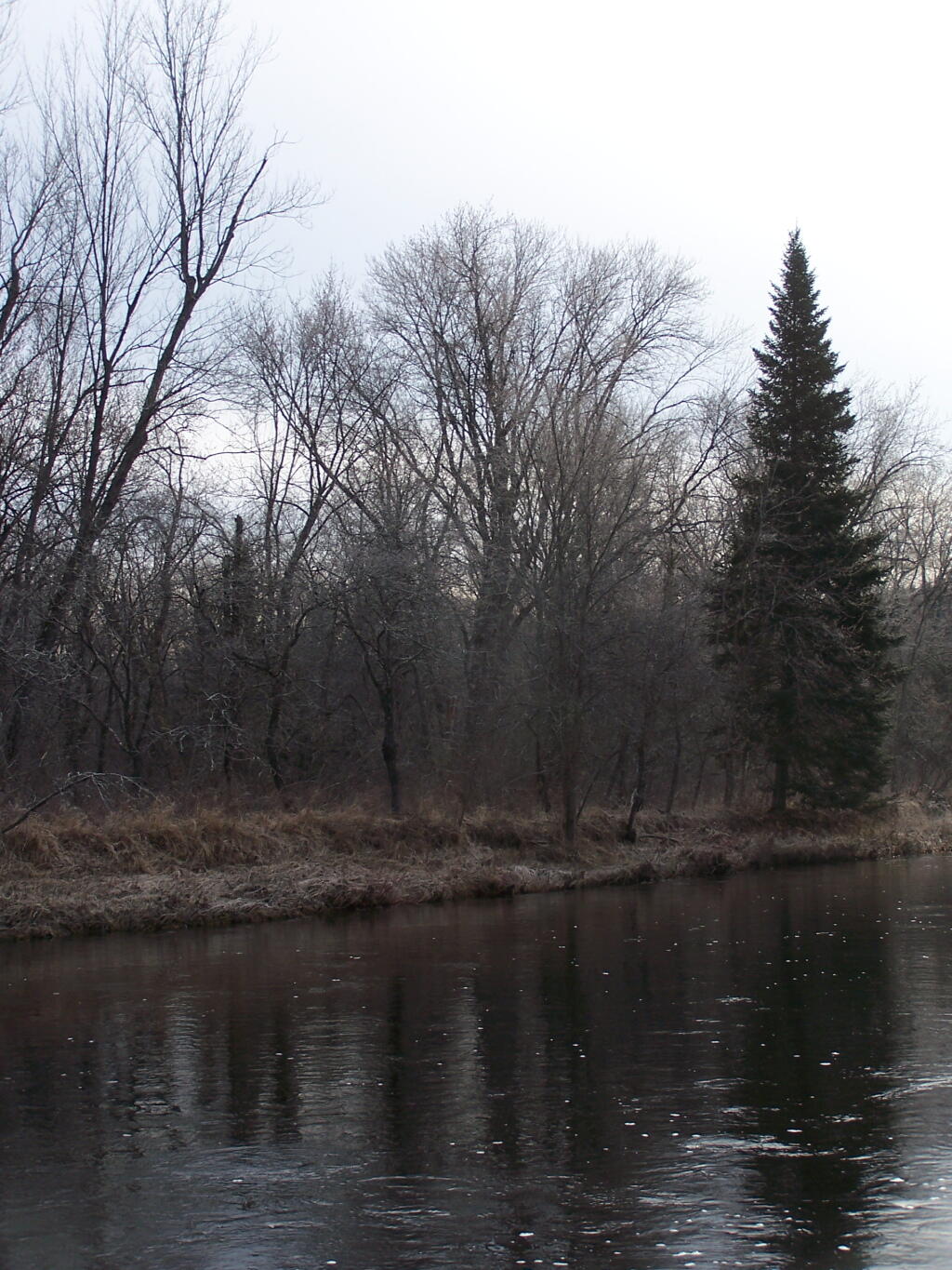 Photo: South West Down the River Photo: South West Down the River