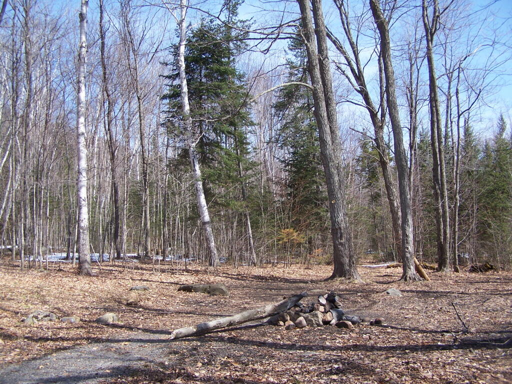 Photo: Accessible Campsite on 13th Lake