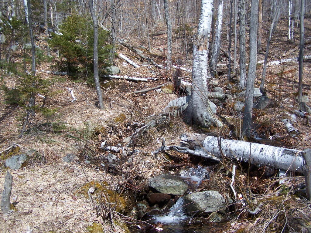 Photo: Snow Melt