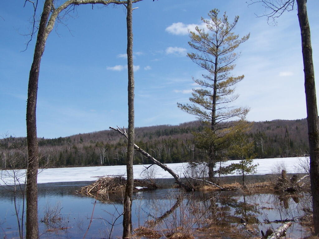 Photo: Beaver Lodge