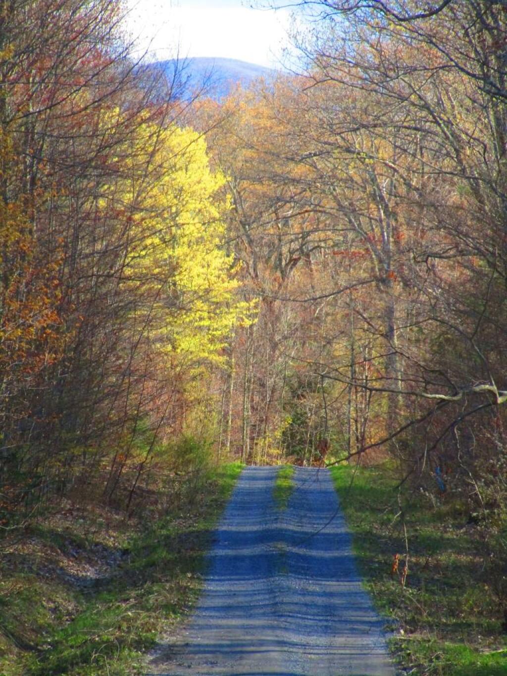Photo: Old Cementary Road Photo: Old Cementary Road