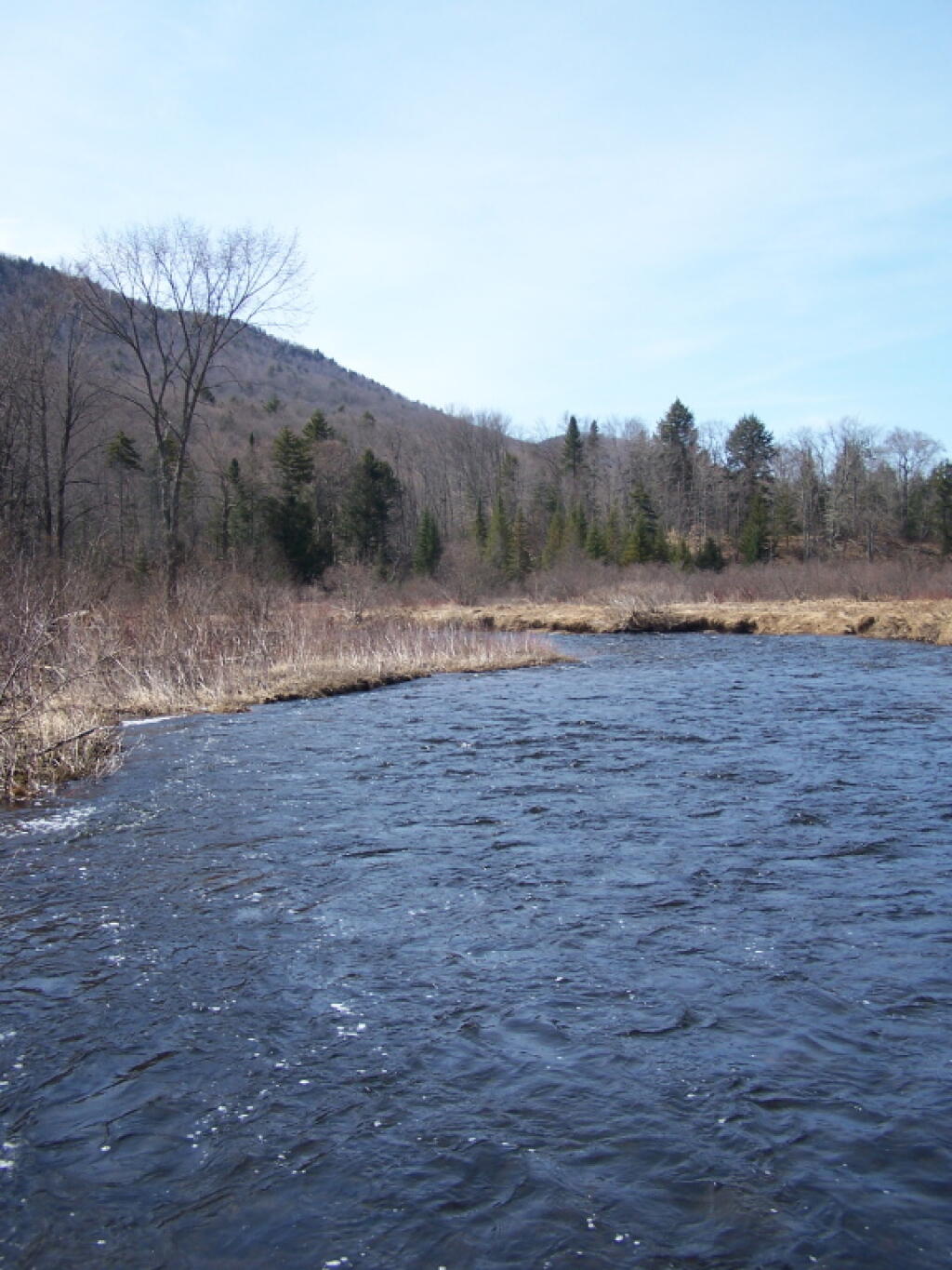 Photo: East Branch Photo: East Branch