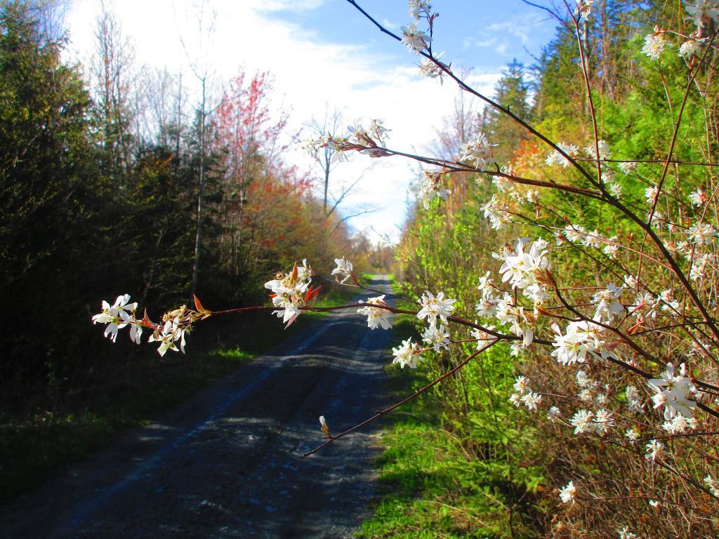 Photo: Spring Photo: Spring