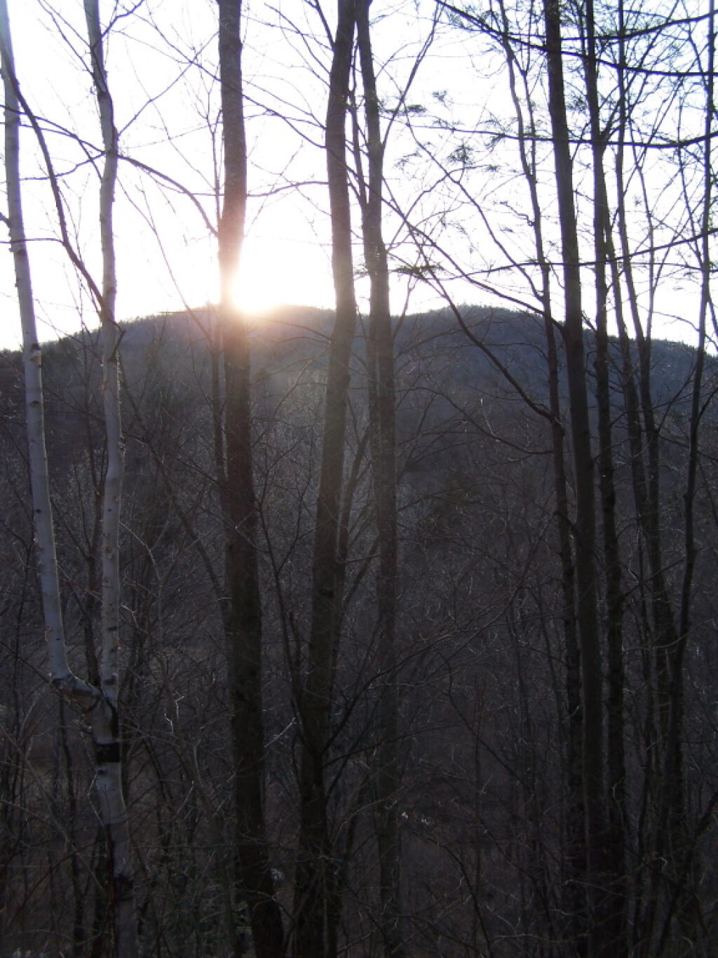 Photo: Setting Sun Photo: Setting Sun