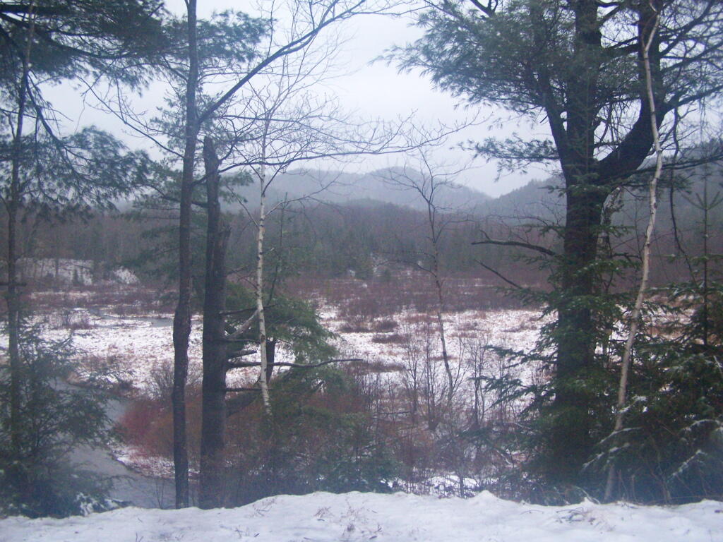 Photo: Snowy Wet Siamese Pond Wilderness