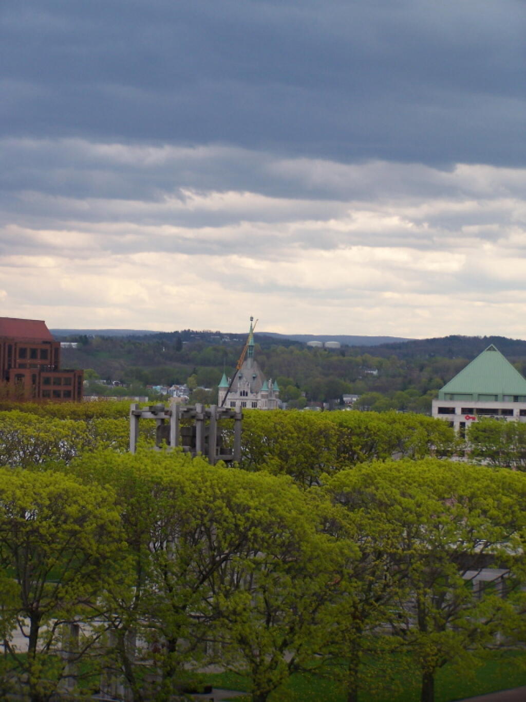 Photo: Rooftops and Trees
